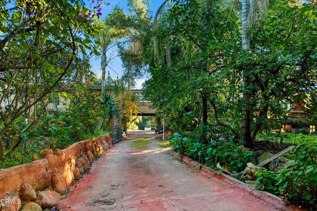 MLS #V1-33736 image #12