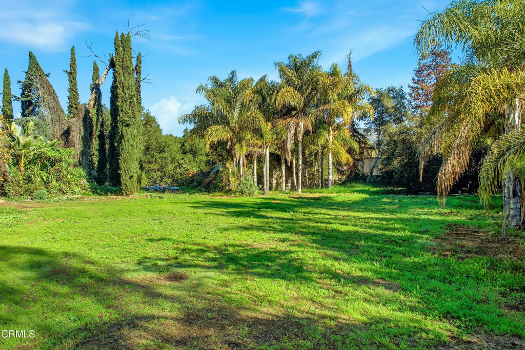 MLS #V1-33736 image #14