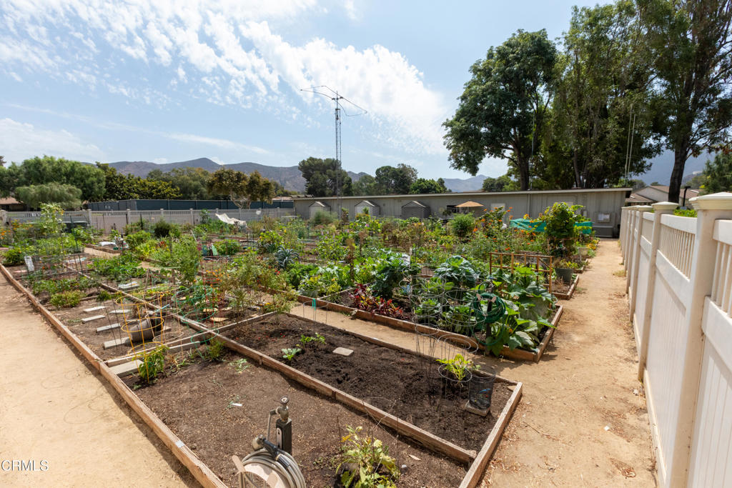 MLS #V1-33757 image #45