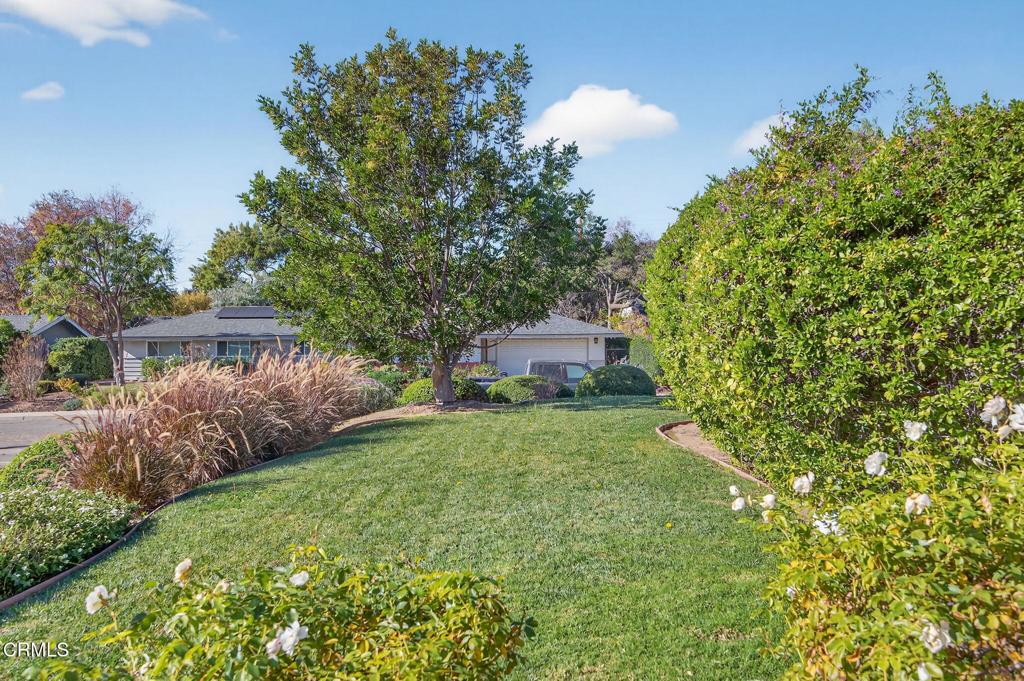 MLS #V1-33813 image #4