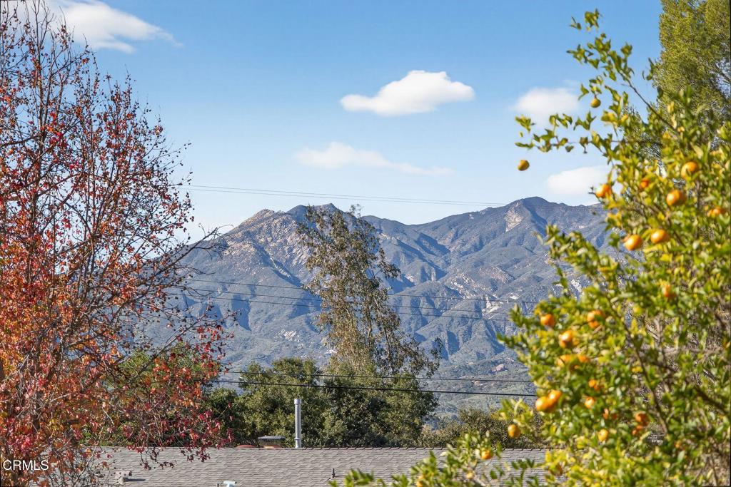 MLS #V1-33998 image #9