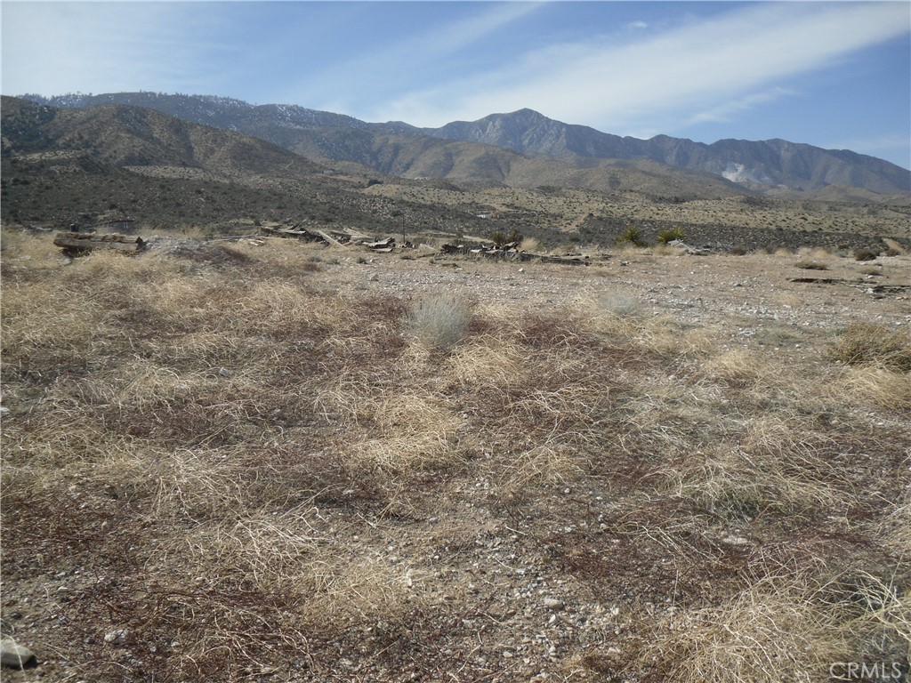 MLS #WS22034012 image #1