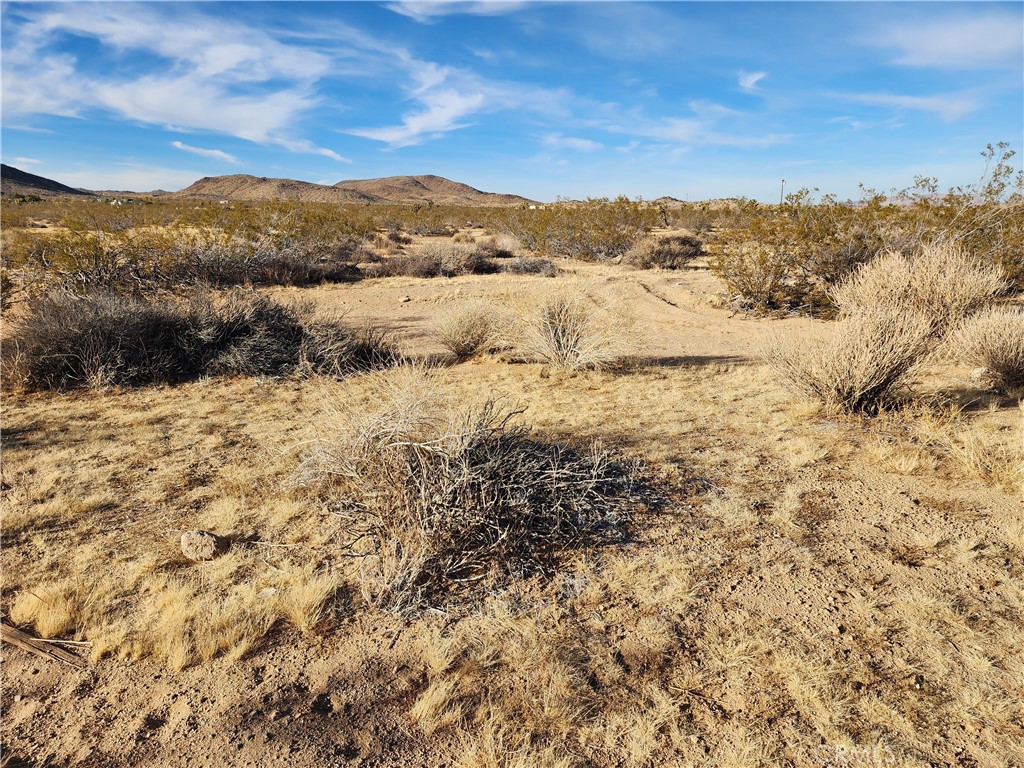 MLS #WS23203577 image #10