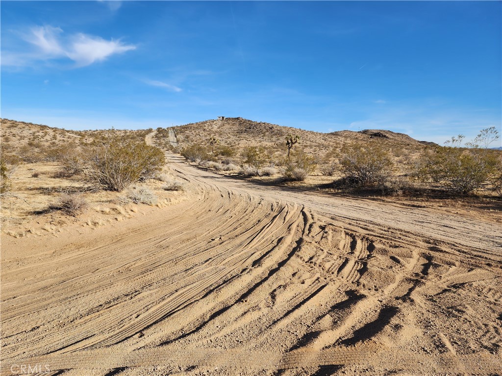 MLS #WS23203577 image #13