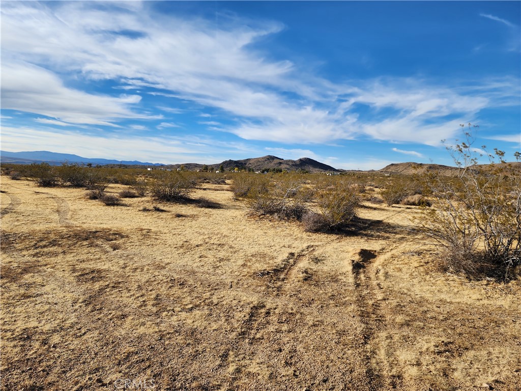 MLS #WS23203577 image #7