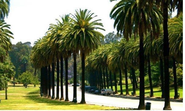 MLS #WS24165773 image #13