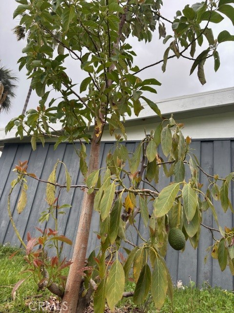 MLS #WS25009111 image #17