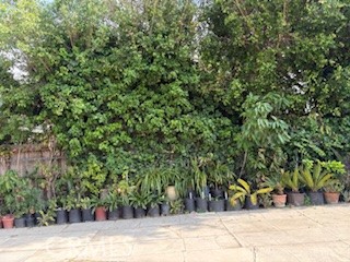 MLS #WS25044860 image #2