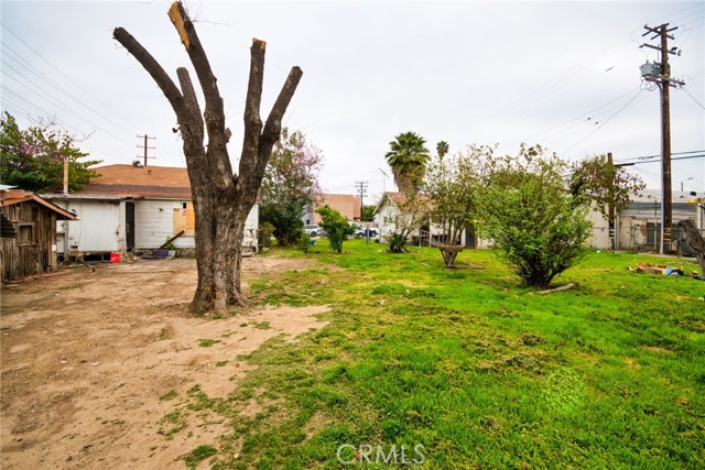 MLS #WS25067531 image #12