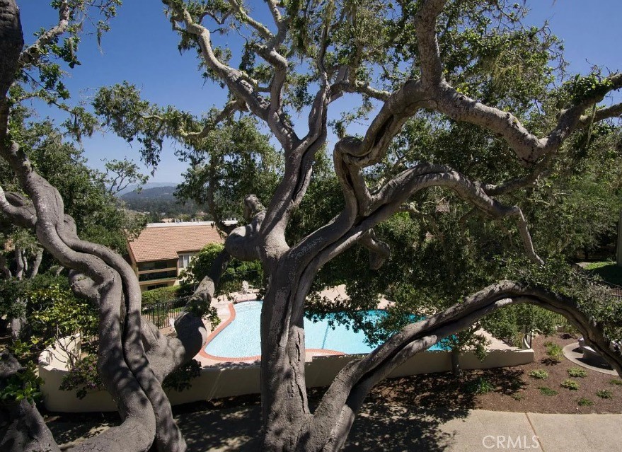 MLS #WS25074109 image #24