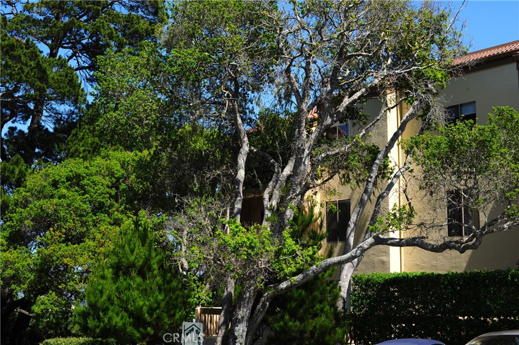 MLS #WS25074109 image #25