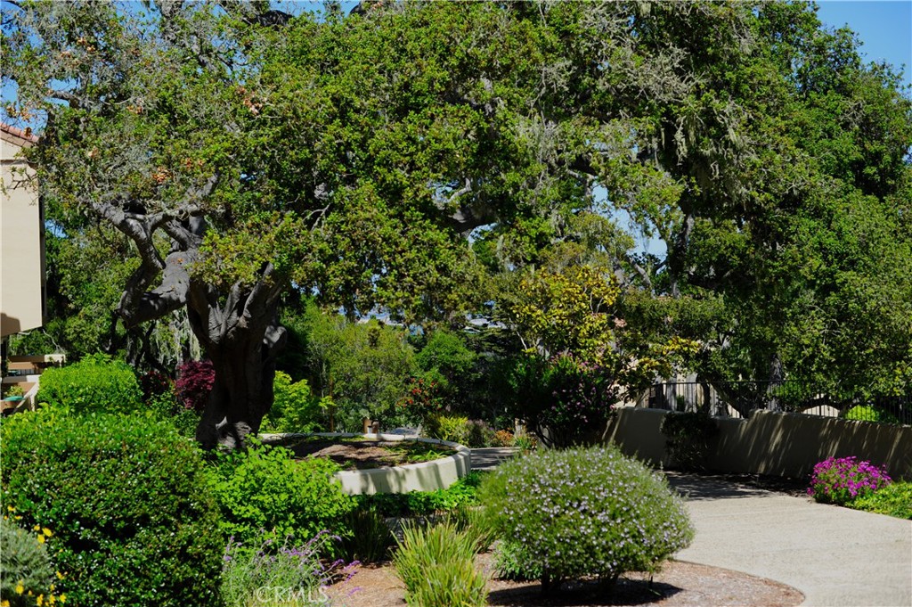 MLS #WS25074109 image #26