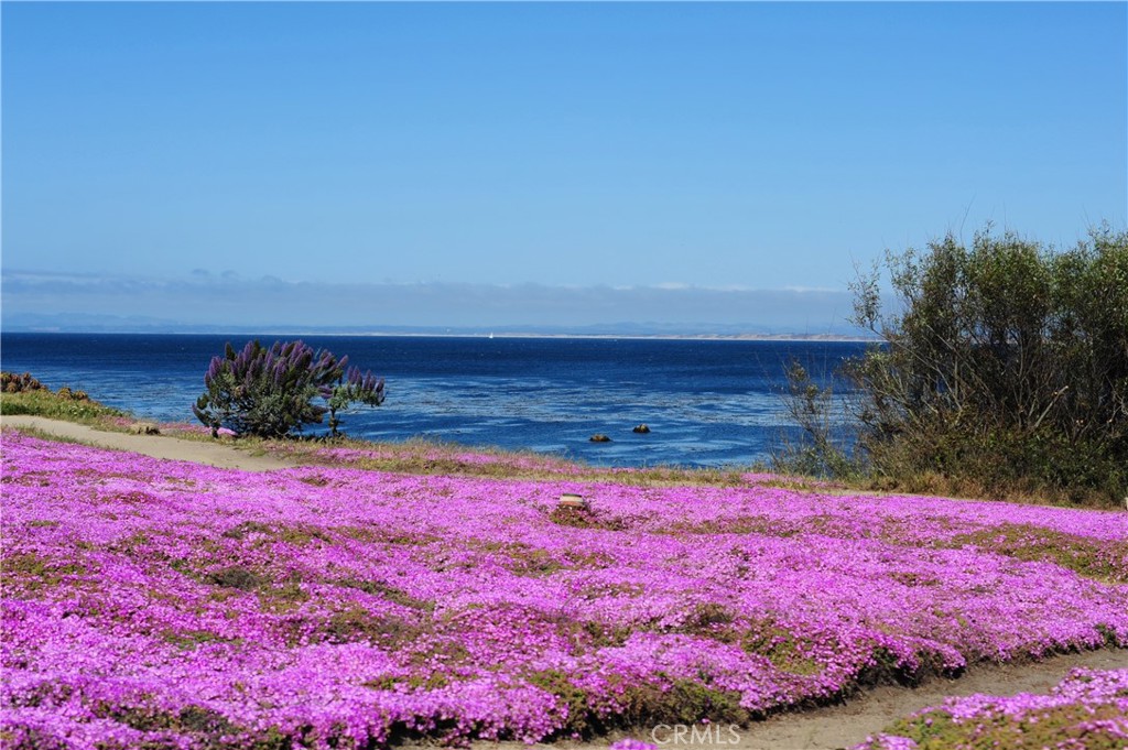 MLS #WS25074109 image #31