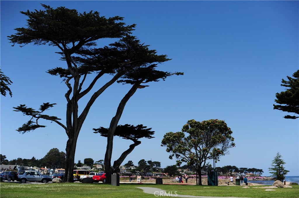 MLS #WS25074109 image #32