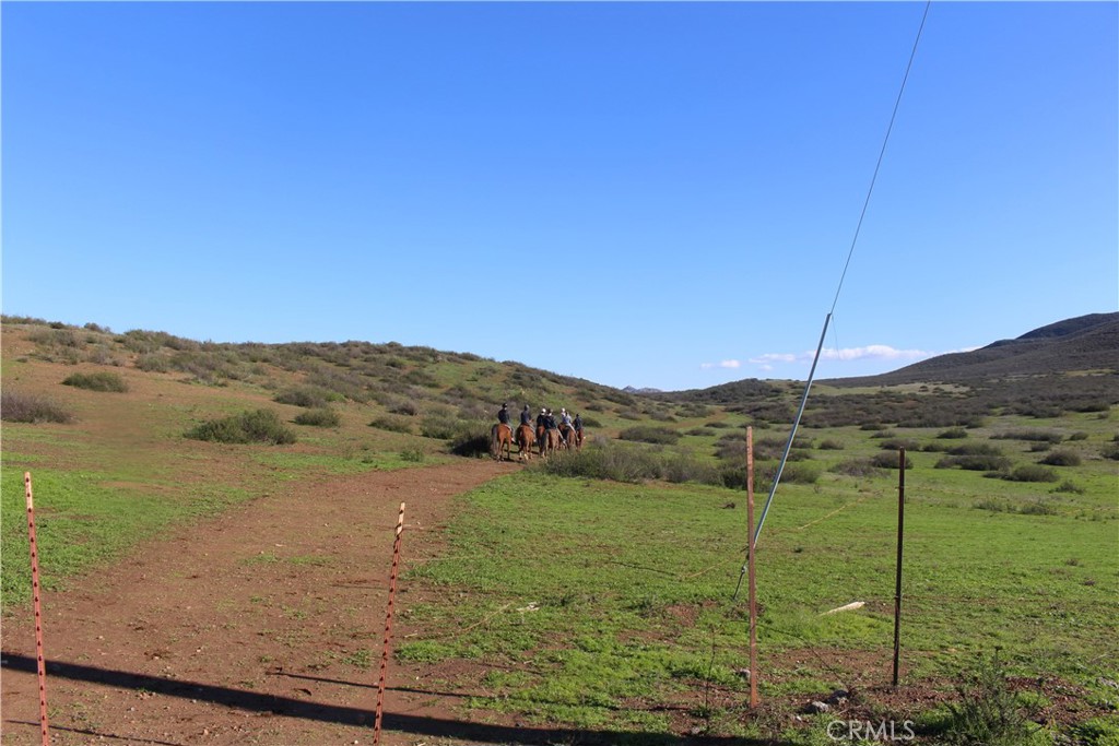 MLS #WS25098768 image #0