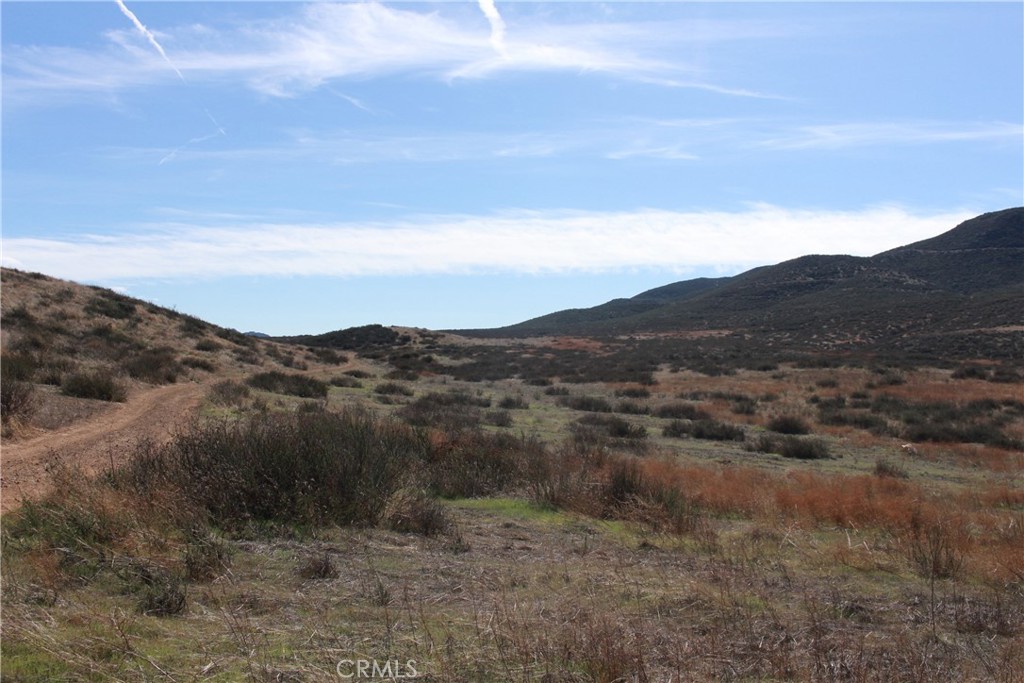 MLS #WS25098768 image #3