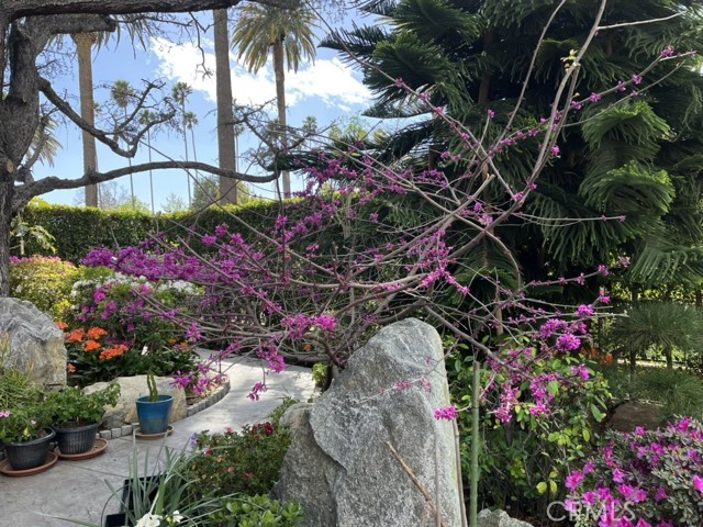 MLS #WS25119967 image #12