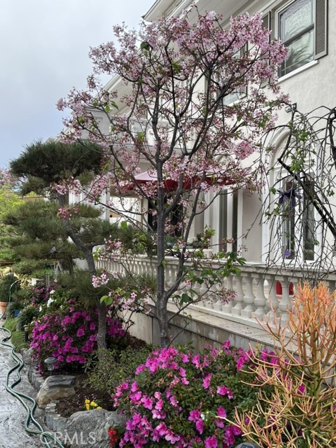 MLS #WS25119967 image #13