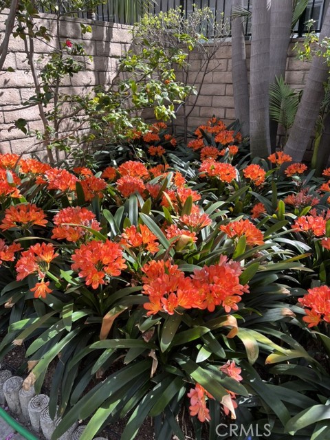 MLS #WS25119967 image #14