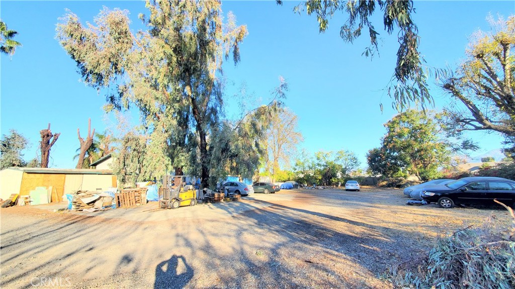 MLS #WS25150015 image #4