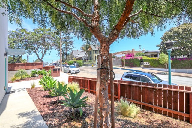 MLS #WS25159091 image #3