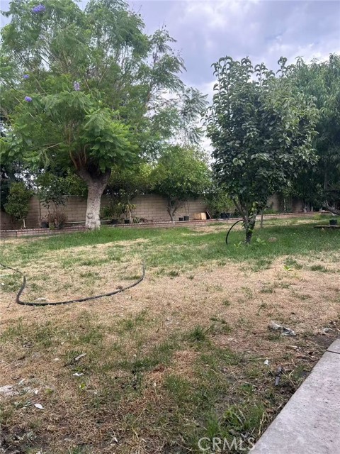 MLS #WS25166459 image #1