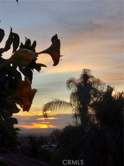 MLS #WS25172102 image #57