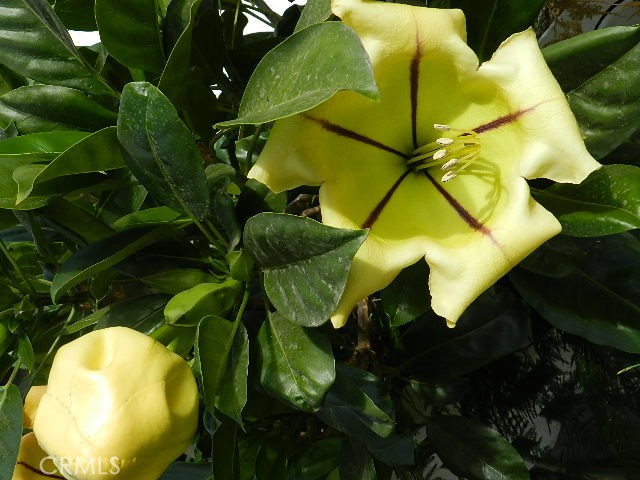 MLS #WS25172102 image #58