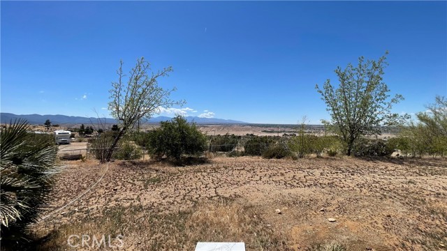 MLS #WS25178844 image #14