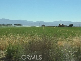 MLS #WS25187569 image #3