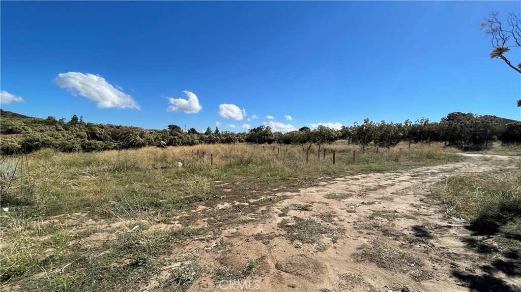 MLS #WS25191789 image #5