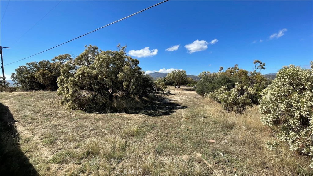 MLS #WS25191789 image #8