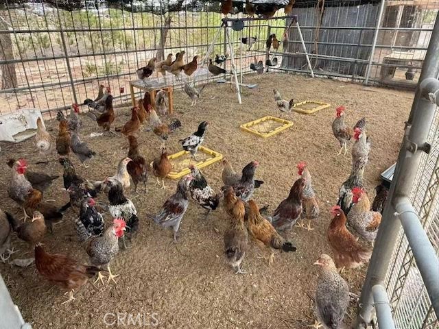 MLS #WS25215666 image #12