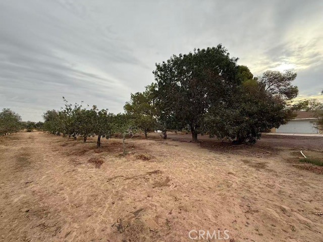 MLS #WS25215666 image #2