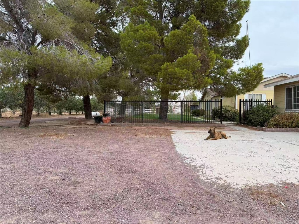 MLS #WS25215666 image #4