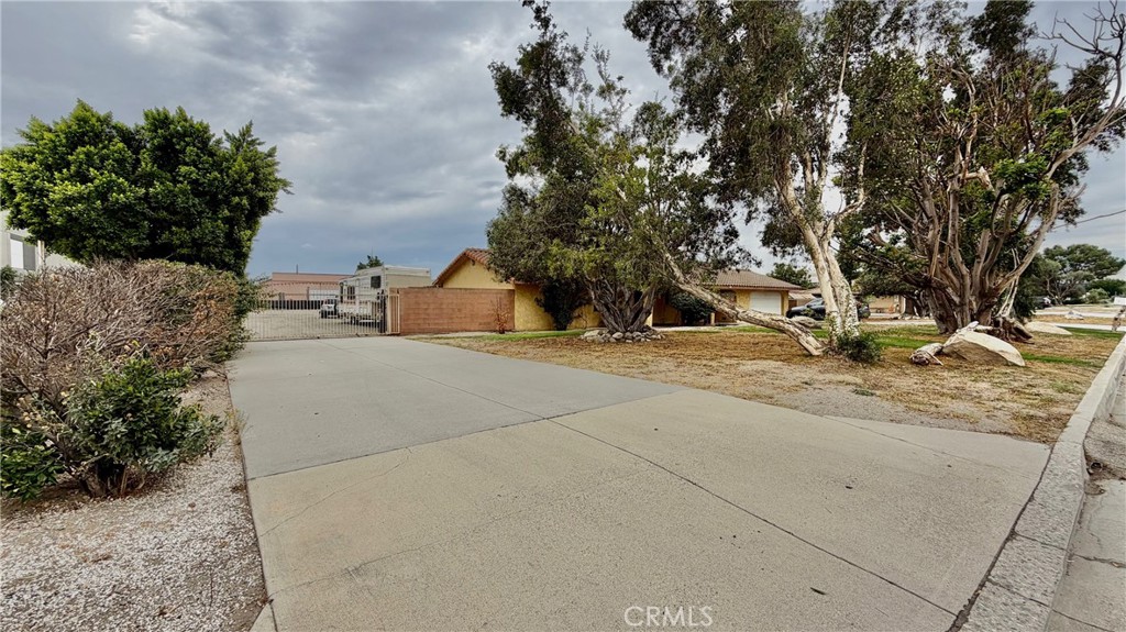 MLS #WS25223129 image #5