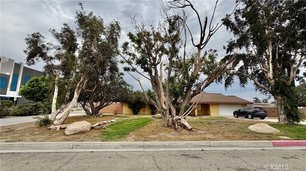 MLS #WS25223129 image #6