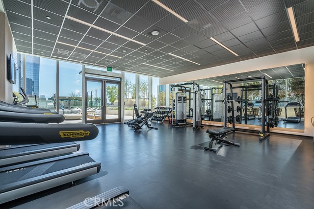 MLS #WS25224725 image #5