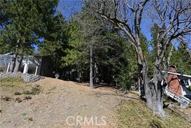 MLS #WS25225523 image #6