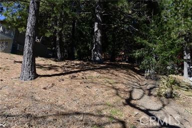 MLS #WS25225523 image #7