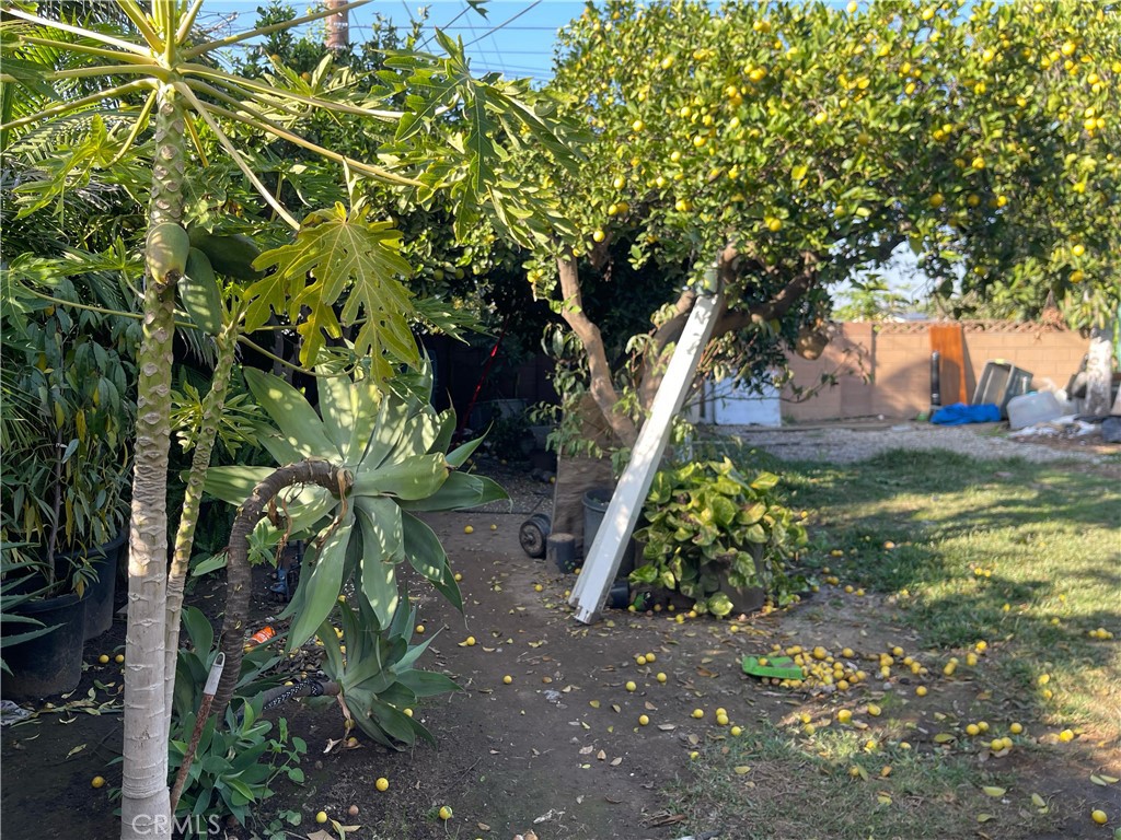 MLS #WS25227065 image #16