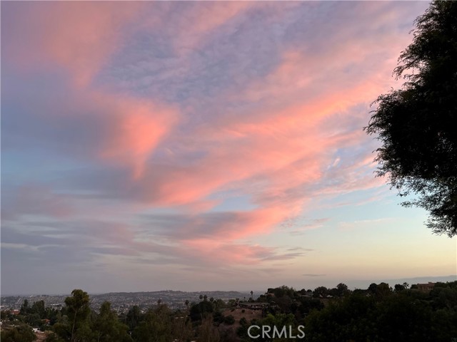 MLS #WS25231417 image #2