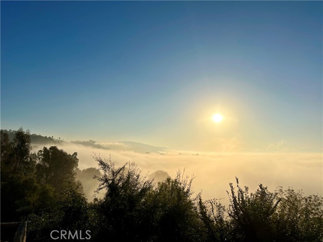 MLS #WS25231417 image #3