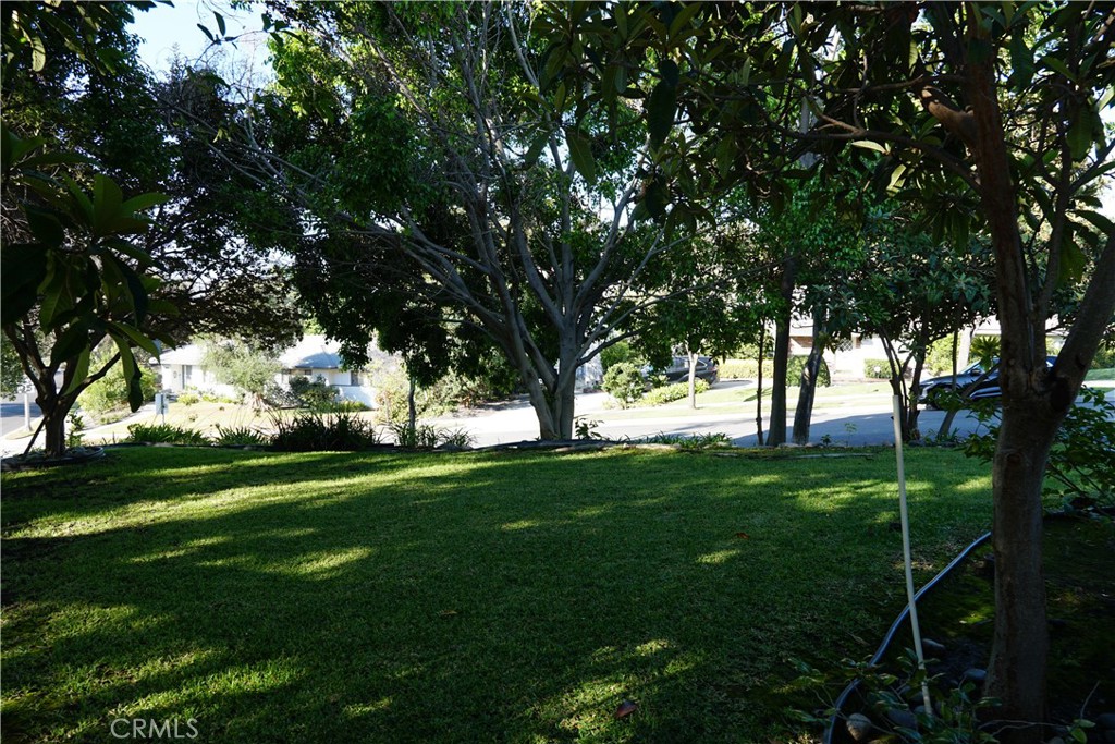 MLS #WS25233511 image #50