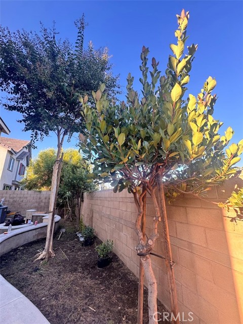 MLS #WS25234959 image #42