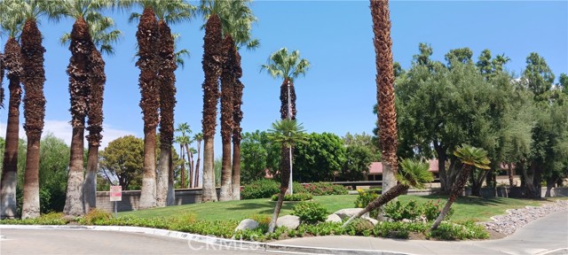 MLS #WS25238560 image #9