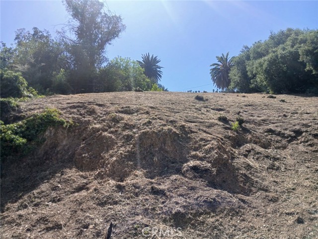 MLS #WS25241229 image #0