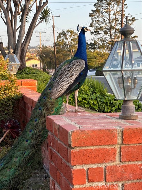 MLS #WS25243026 image #4