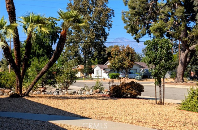 MLS #WS25246459 image #25