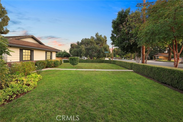 MLS #WS25246545 image #24